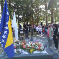 Cedomir Domuz