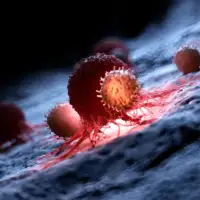 Virus