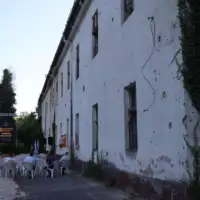 IMG 6934