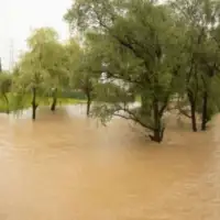 Poplave slovenins