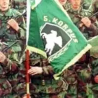 Peti korpus Armije R Bi H