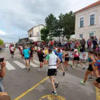IMG 7001