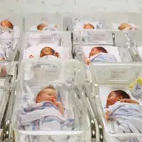 Bebe porodilista 2