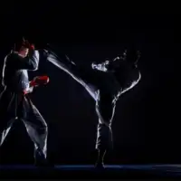 Sambo vjestina 696x479