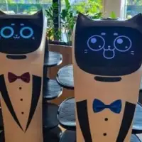 Robot konobar Fructa Trade