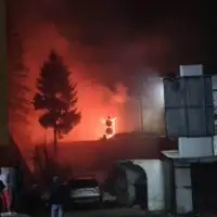Vlasic gori