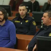 Macan i ostali