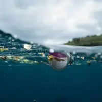 Ocean plastic