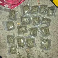 Gracanica droga
