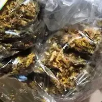 Gracanica droga