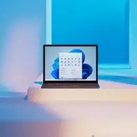 Windows 11