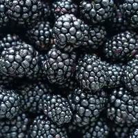 Kupine maline