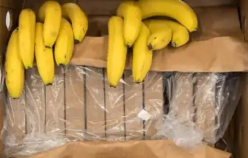 Droga u bananama