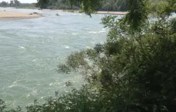 Drina Janja