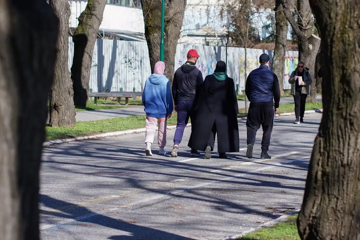 Vilsonovo3