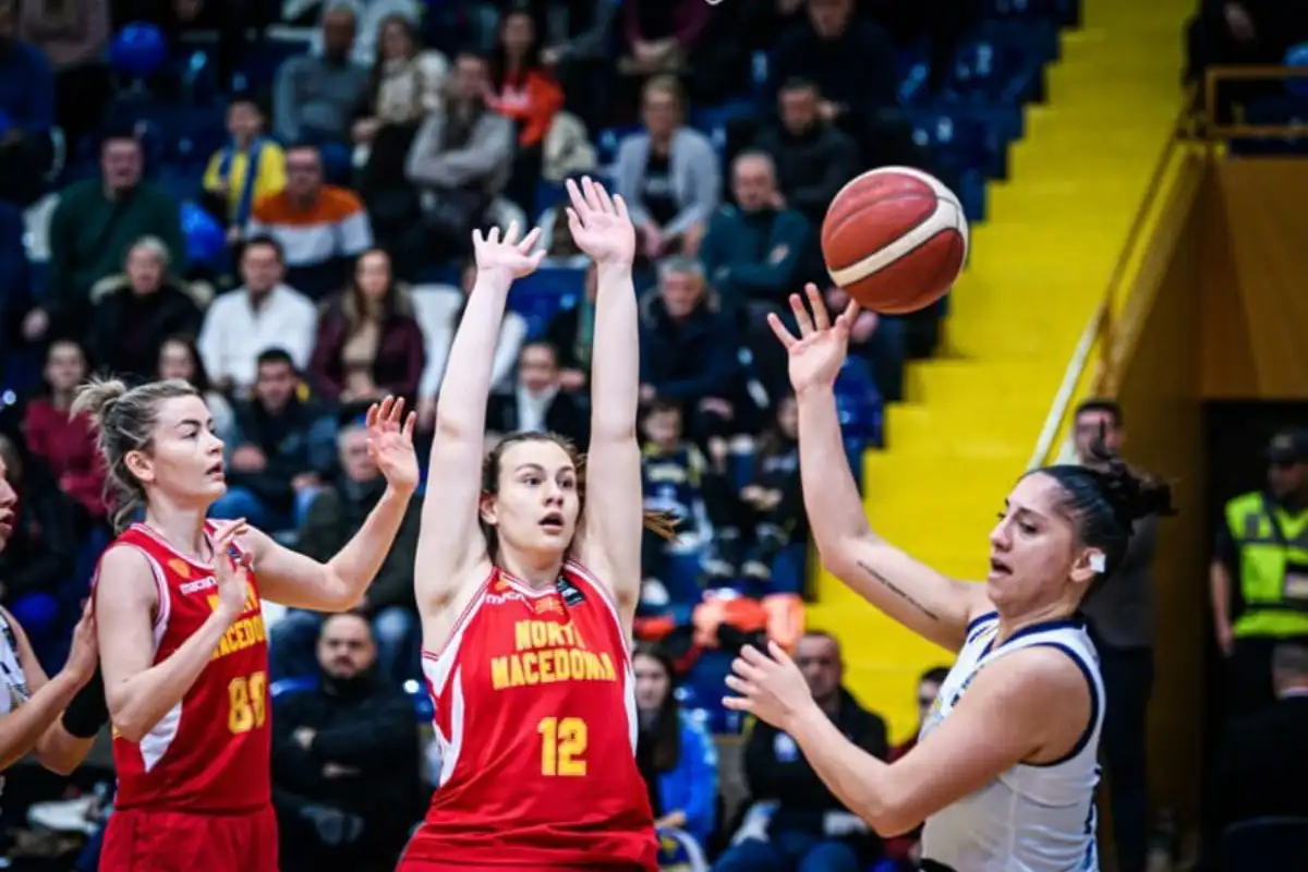 Zmajice 10
