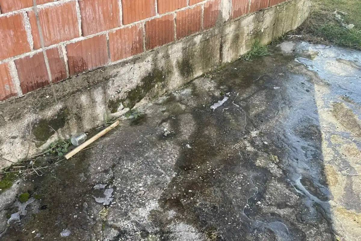 IMG 6cd0df94ec002164fa5050719e259464 V