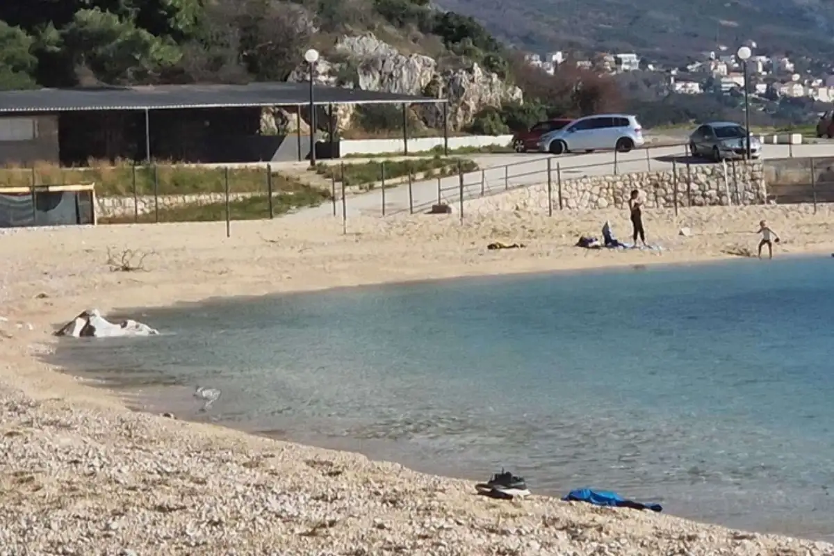 Kupanje zaplivali u Dubrovniku februar SeeSrpska Mondo ba