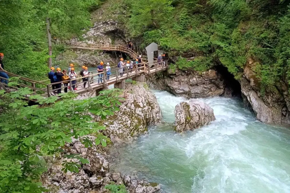 IMG bd7522b7d87d61123051b0fe1c3b2052 V