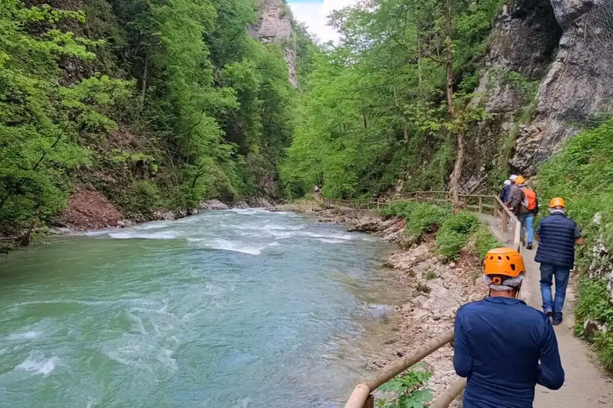 IMG cc12e543174abe659203fb17b4fe1b99 V