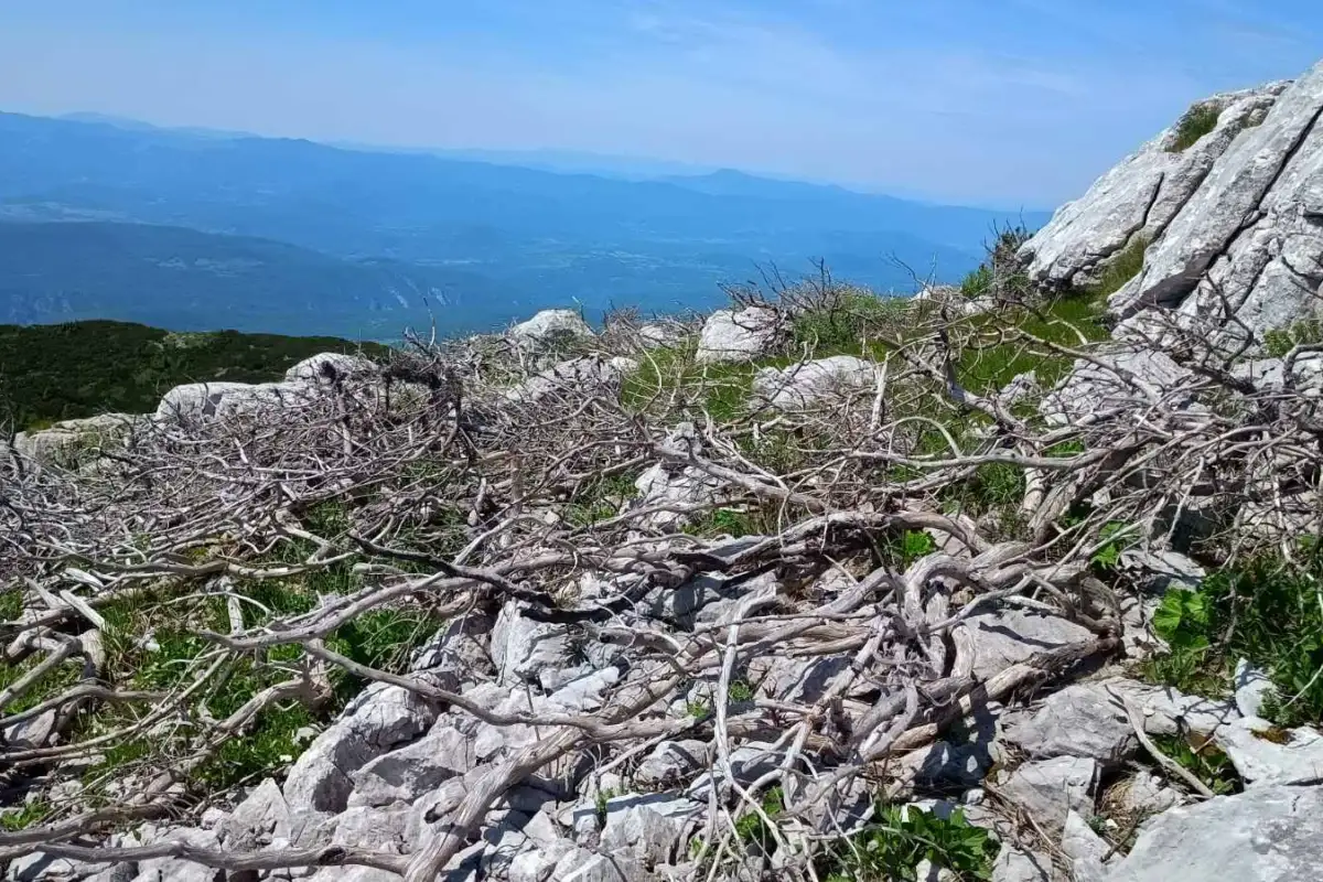 Osječenica, planina bosanski petrovac