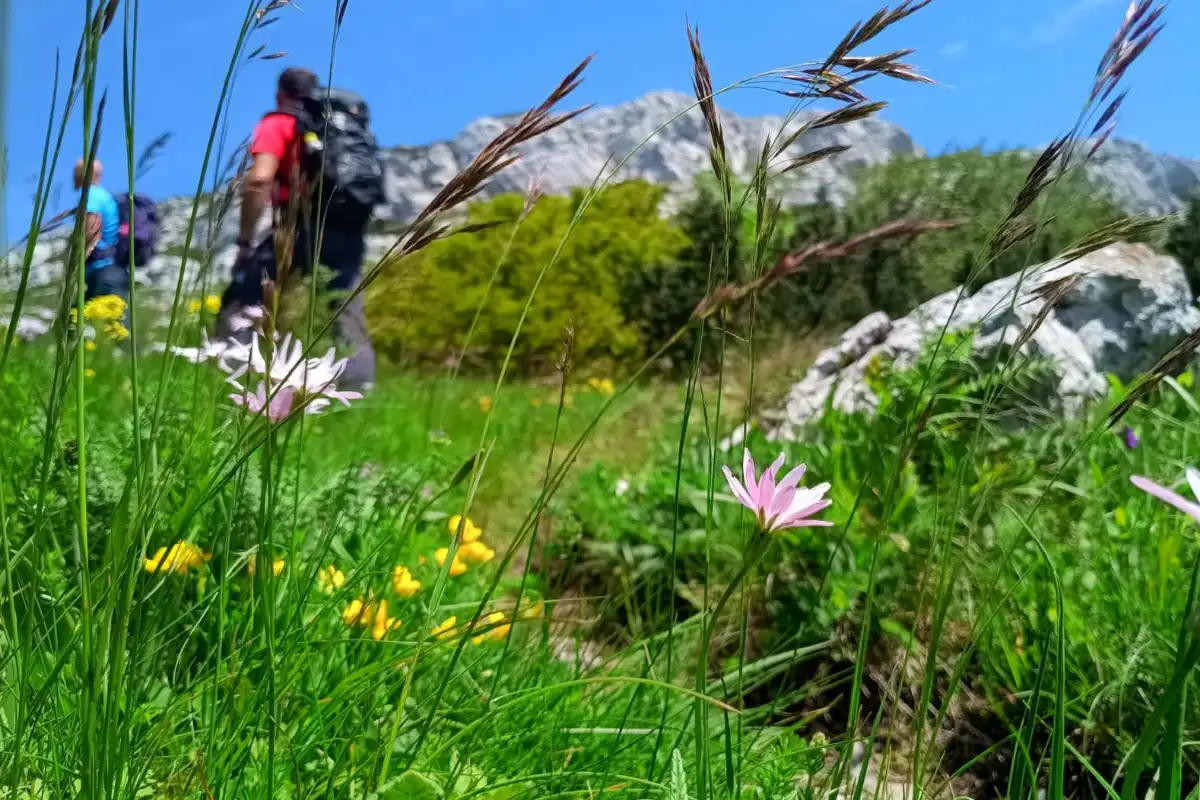 Osječenica, planina bosanski petrovac