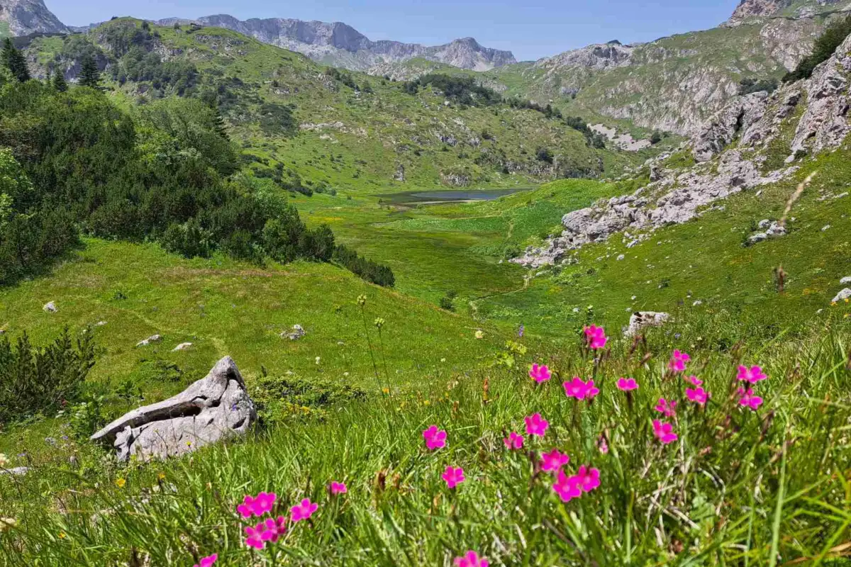 Treskavica planina sanski planinari foto etto