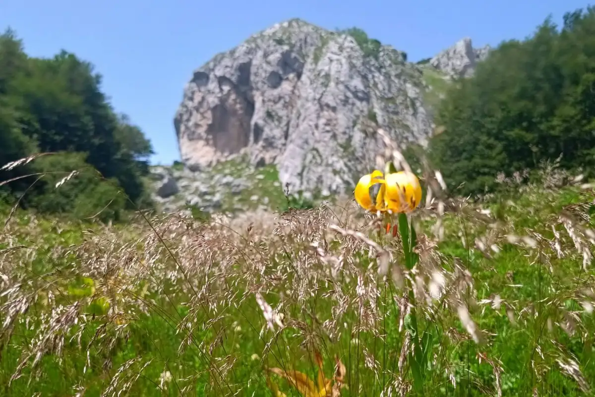 planina priroda  Treskavica sanski planinari foto etto