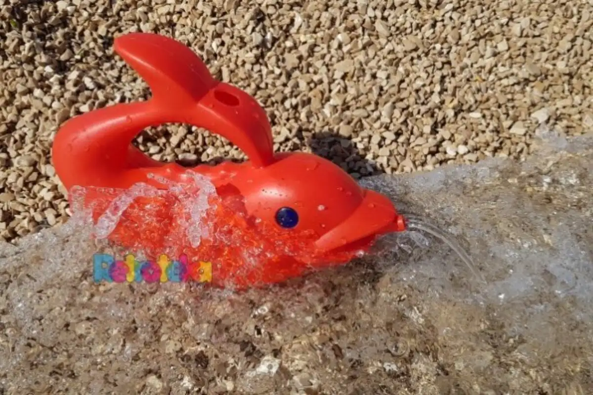 Delfin