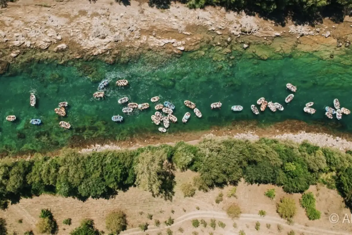 Drinska regata