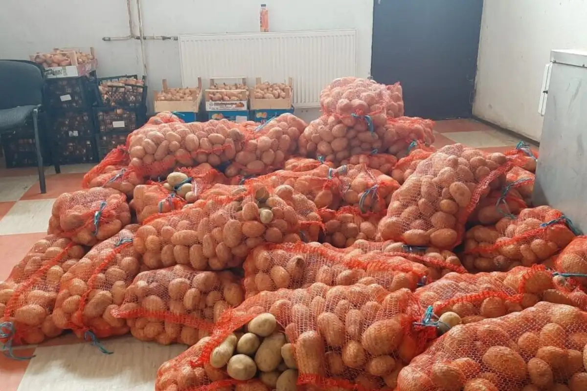 Vlastita proizvodnja