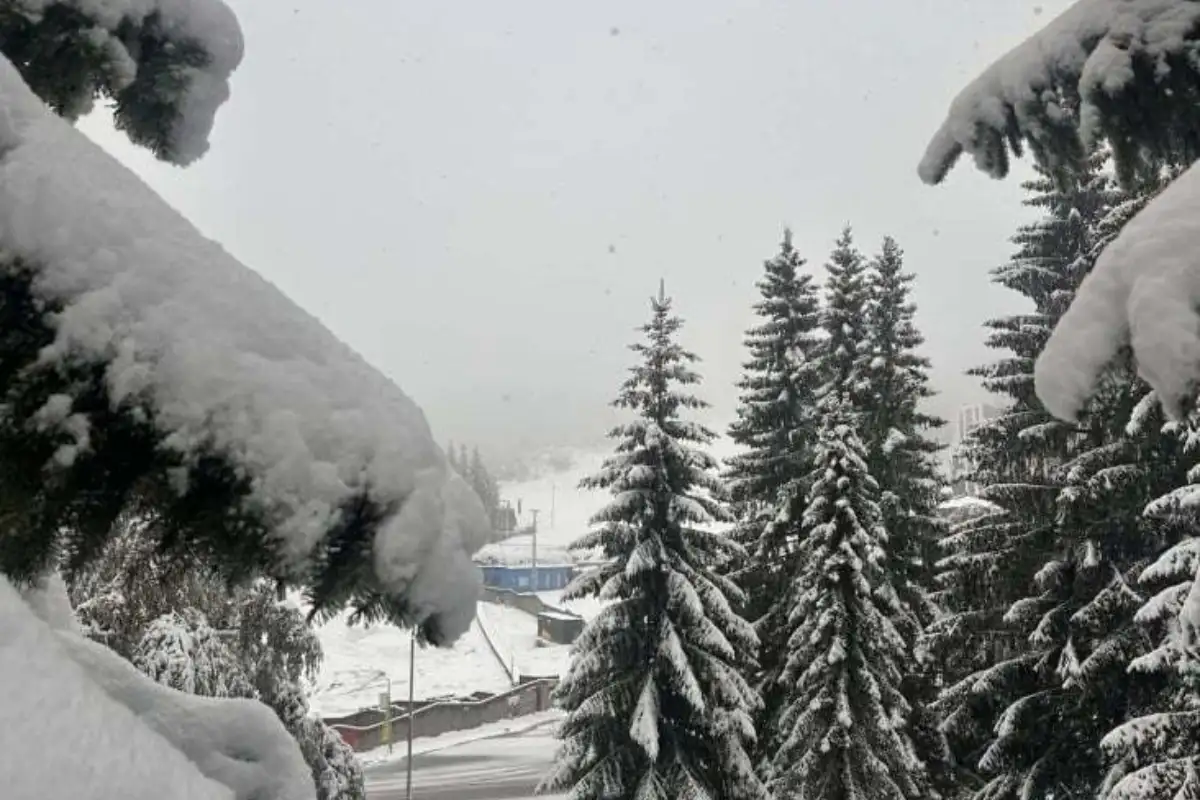 snijeg jahorina 25 IMG 5307