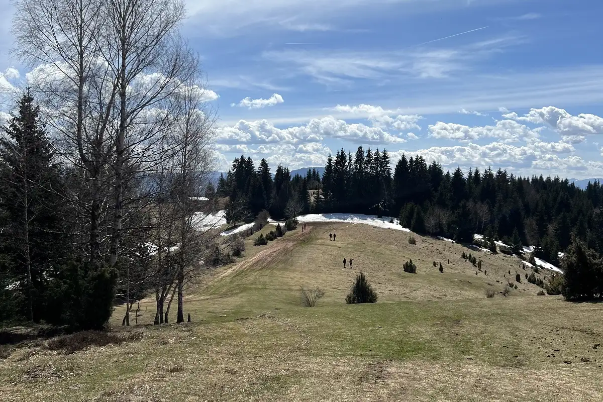Cavljak10