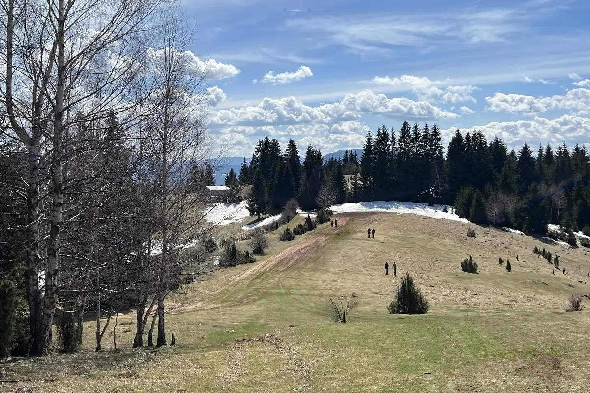 Cavljak13