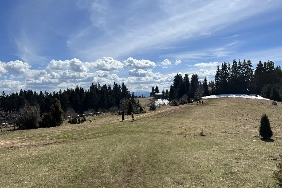 Cavljak14