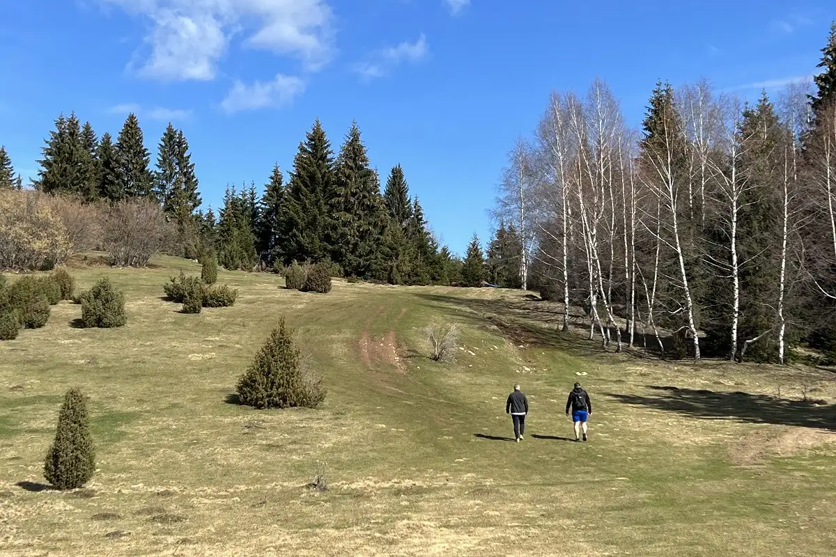 Cavljak15