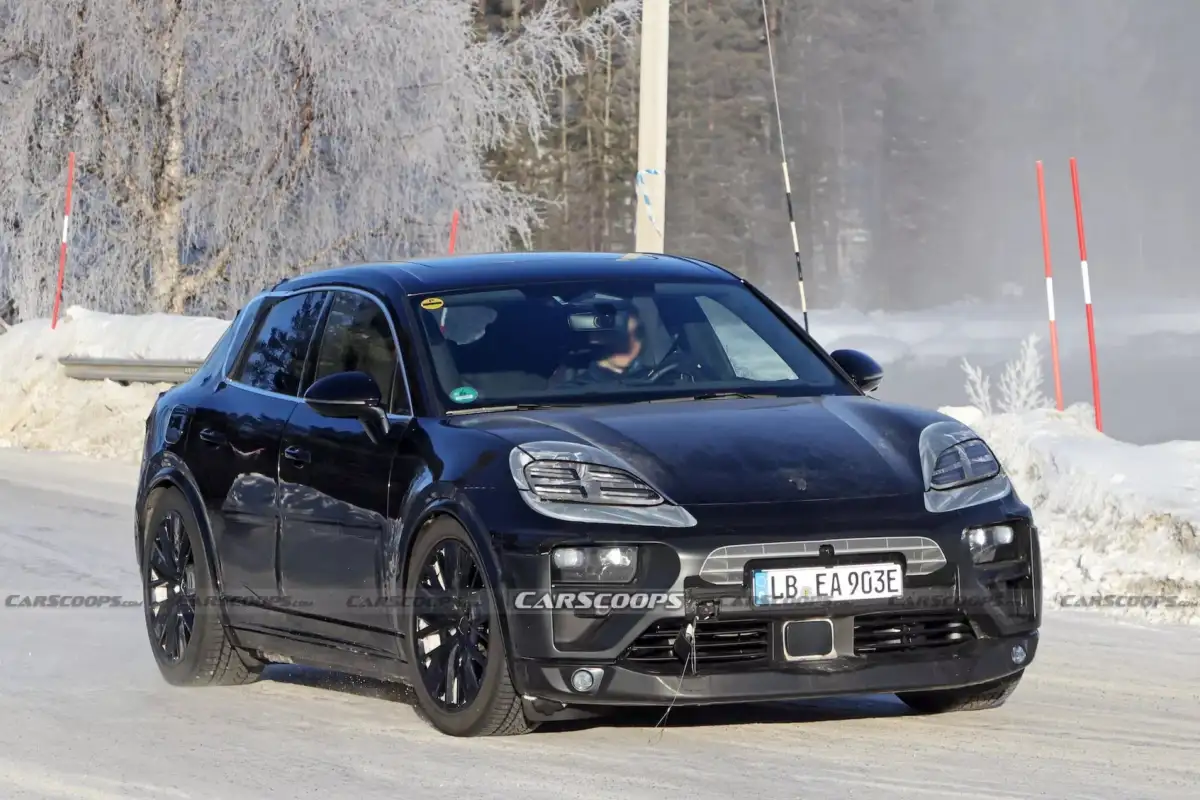 Macan 1