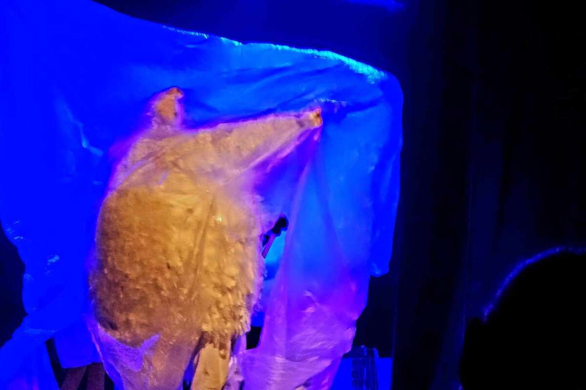 3dd89889 b80b 429a b421 f0ed24f930cd