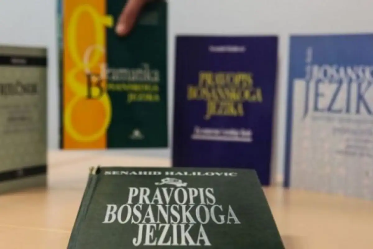 Bosanski jezik