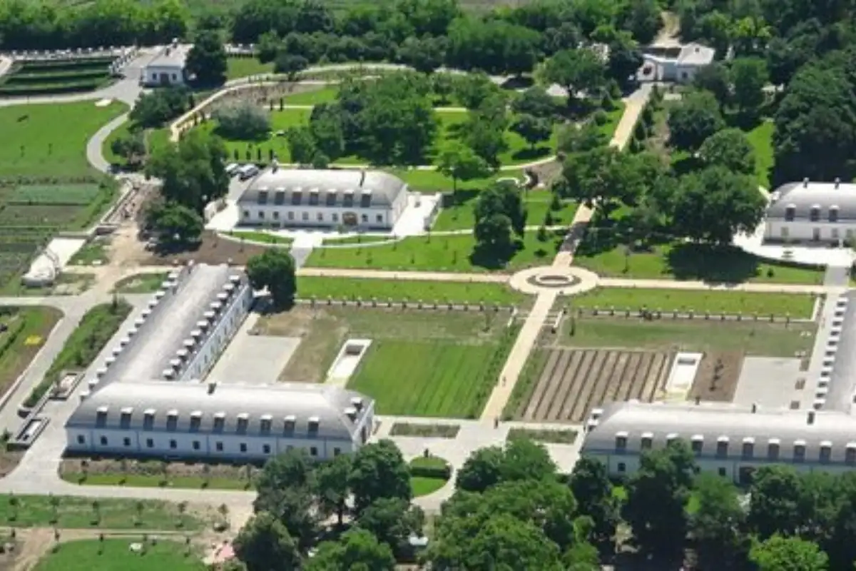 Vila orban 1