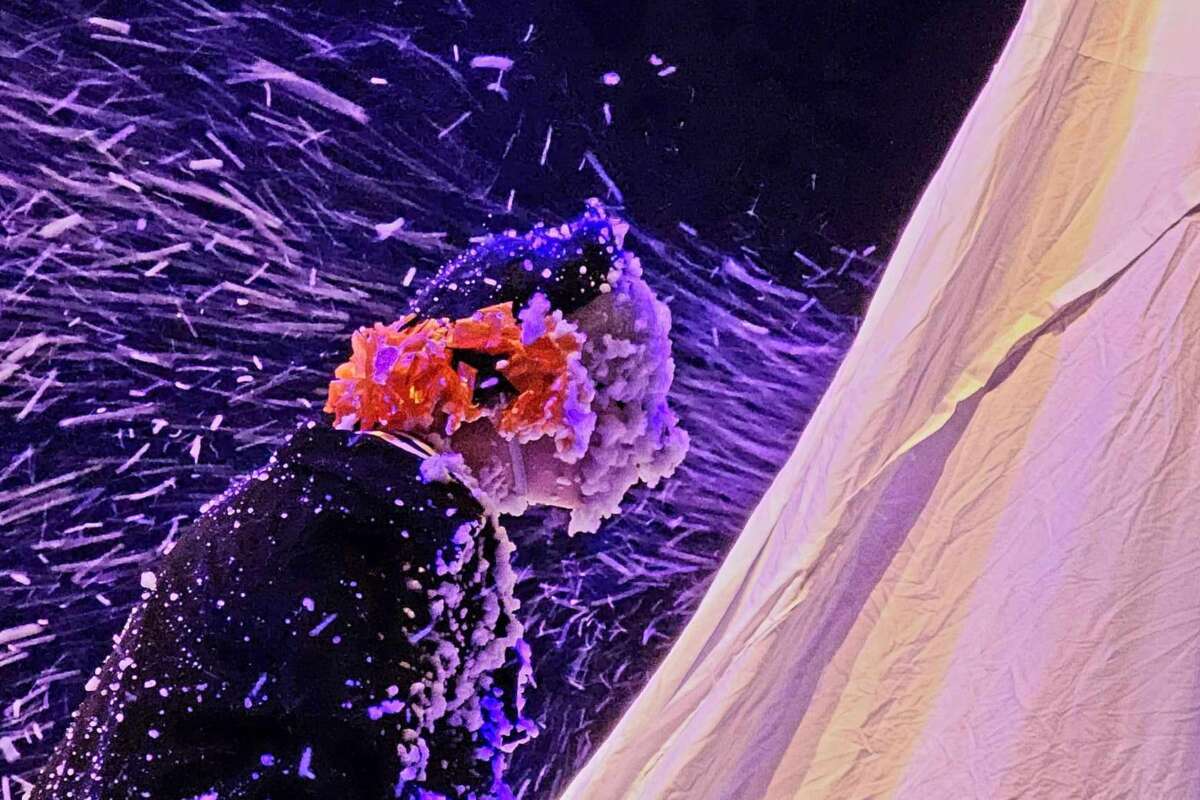 5c6a2d7e 5c39 42ac 963d 33567868debe