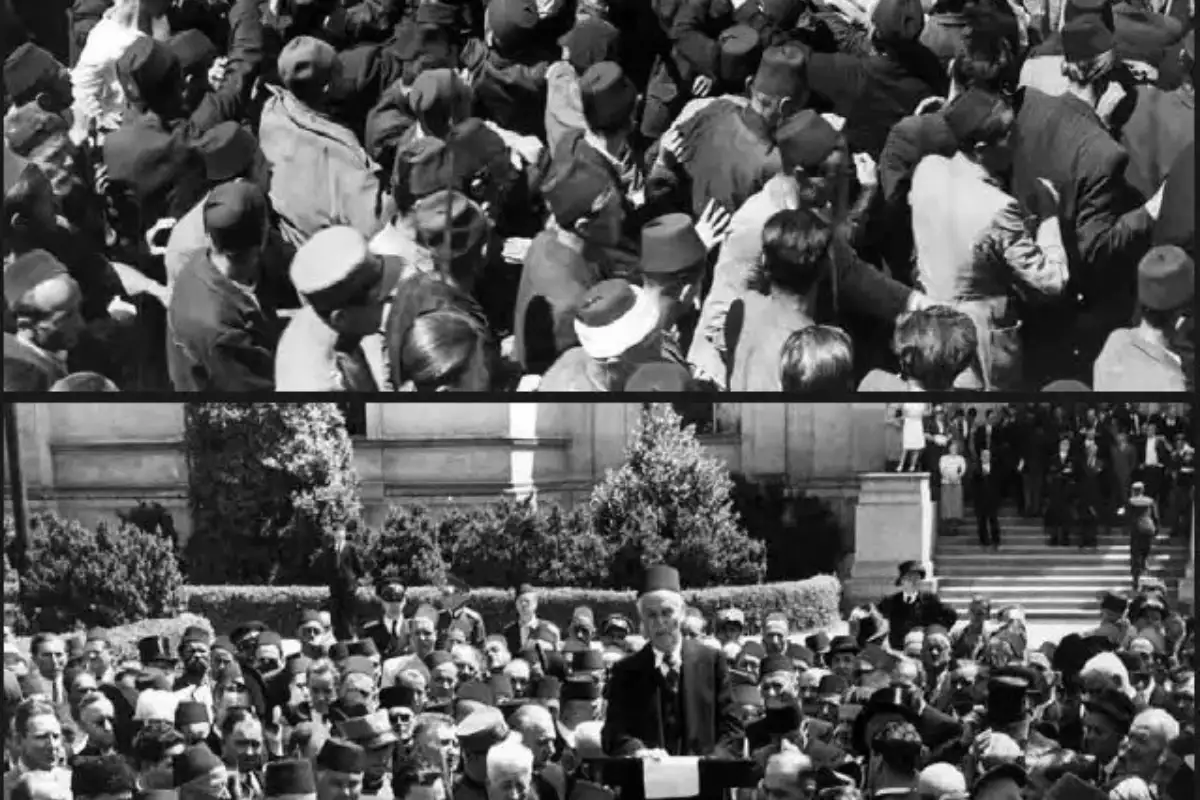 Viber image 2023 06 29 08 14 33 410 649d21bd29a0a