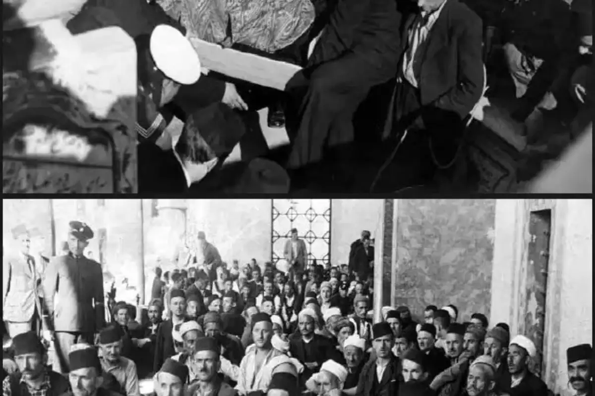 Viber image 2023 06 29 08 14 34 514 649d21bd299ee