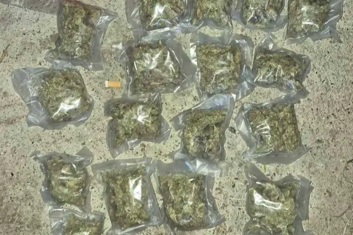 Gracanica droga