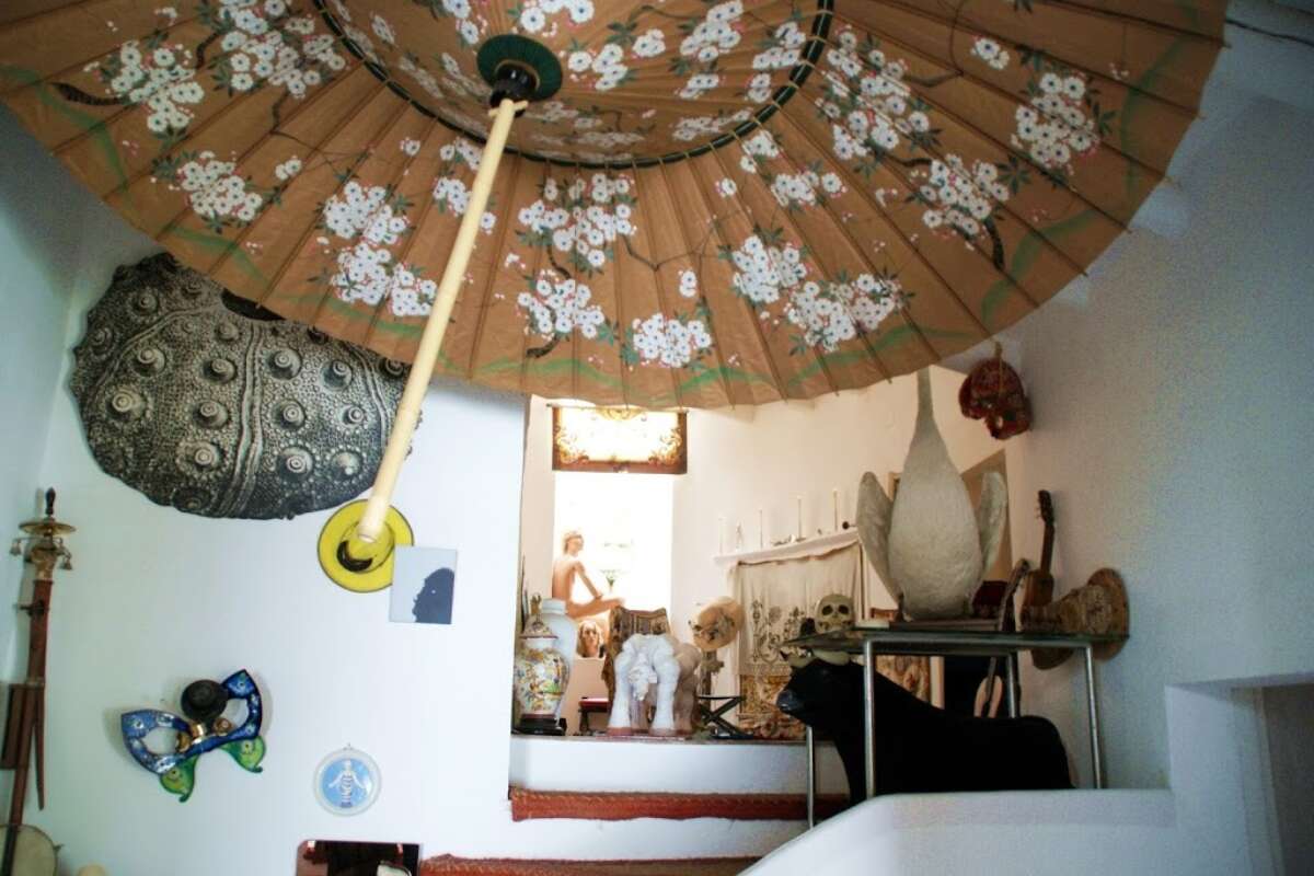 Salvador Dali kuca4