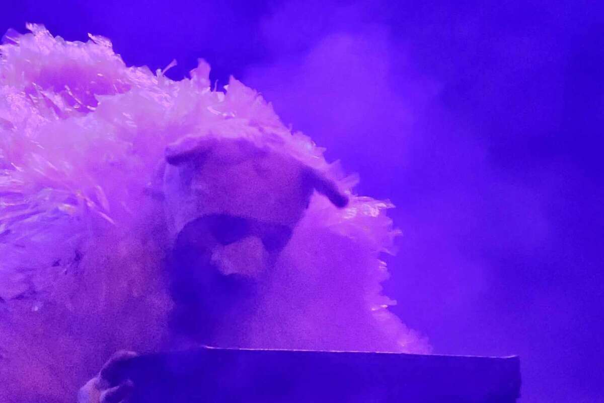 B0b1c818 dd93 49df 8eb5 94e31603bf61