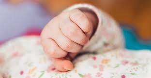 Bebe