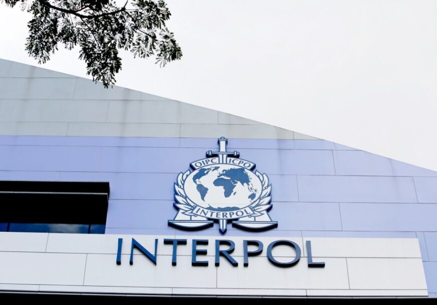 Interpol 872x610