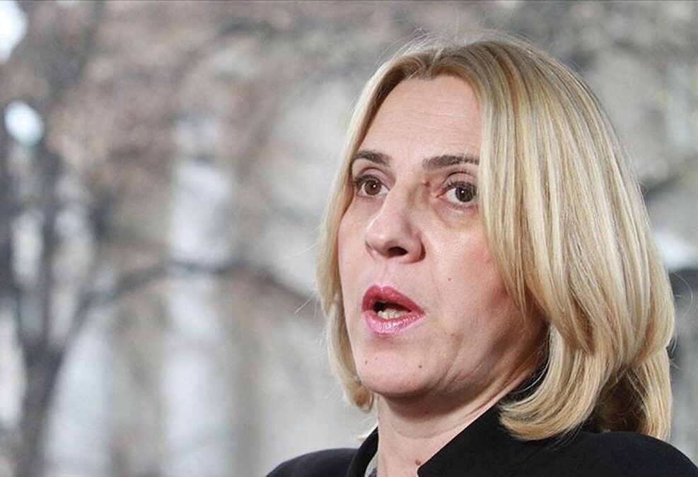 Zeljka cvijanovic Anadolija